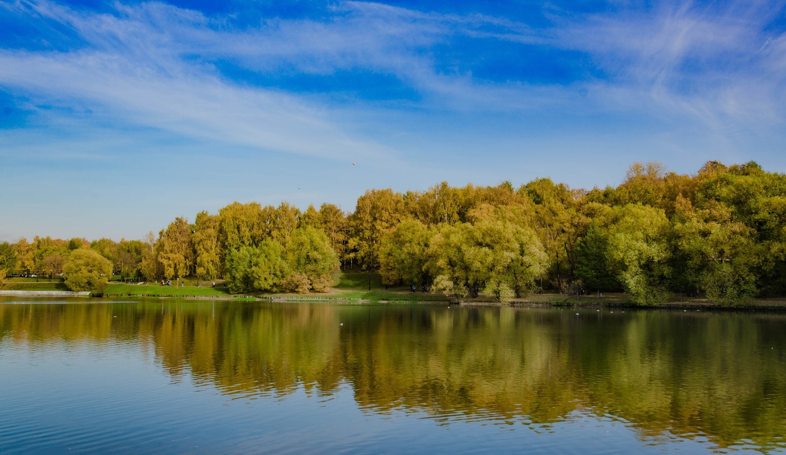 Autumn - My, Autumn, Landscape, Nature, Longpost