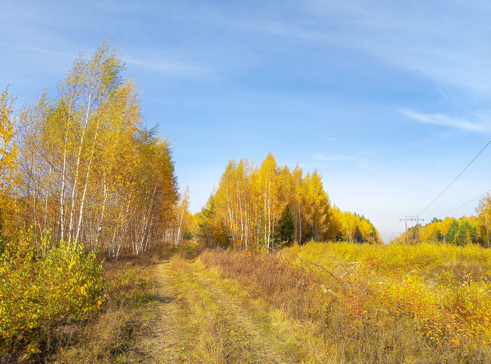 Какая природа в московской области. Озеры осень. Горы в Московской области.