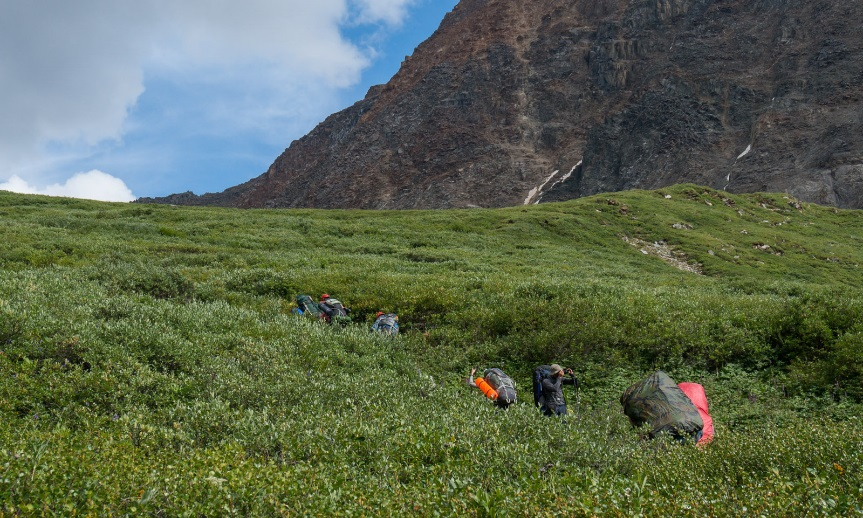 Journey through Altai. - My, Longpost, Altai, Hike, Beacon, Summer, The photo, Diary, Altai Republic