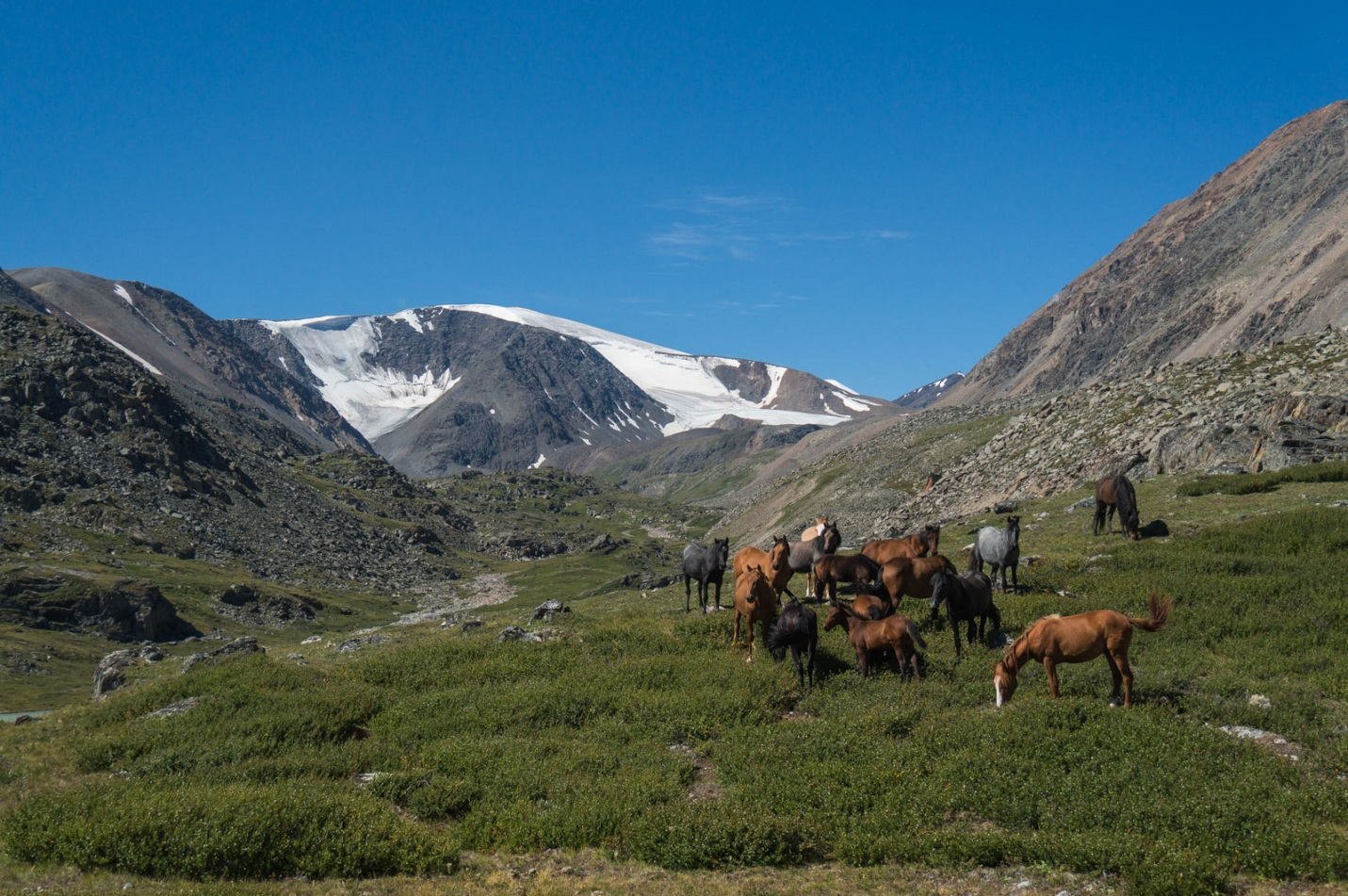 Journey through Altai. - My, Longpost, Altai, The photo, Hike, Beacon, Altai Republic