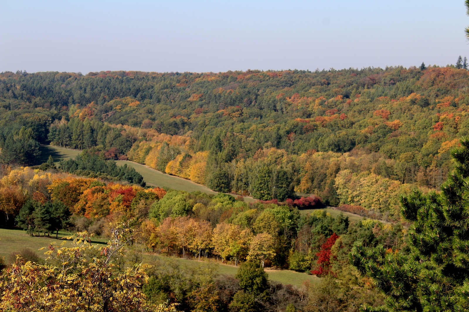 Autumn colors. - My, Czech, Autumn, Nature, The park, Travels, Longpost