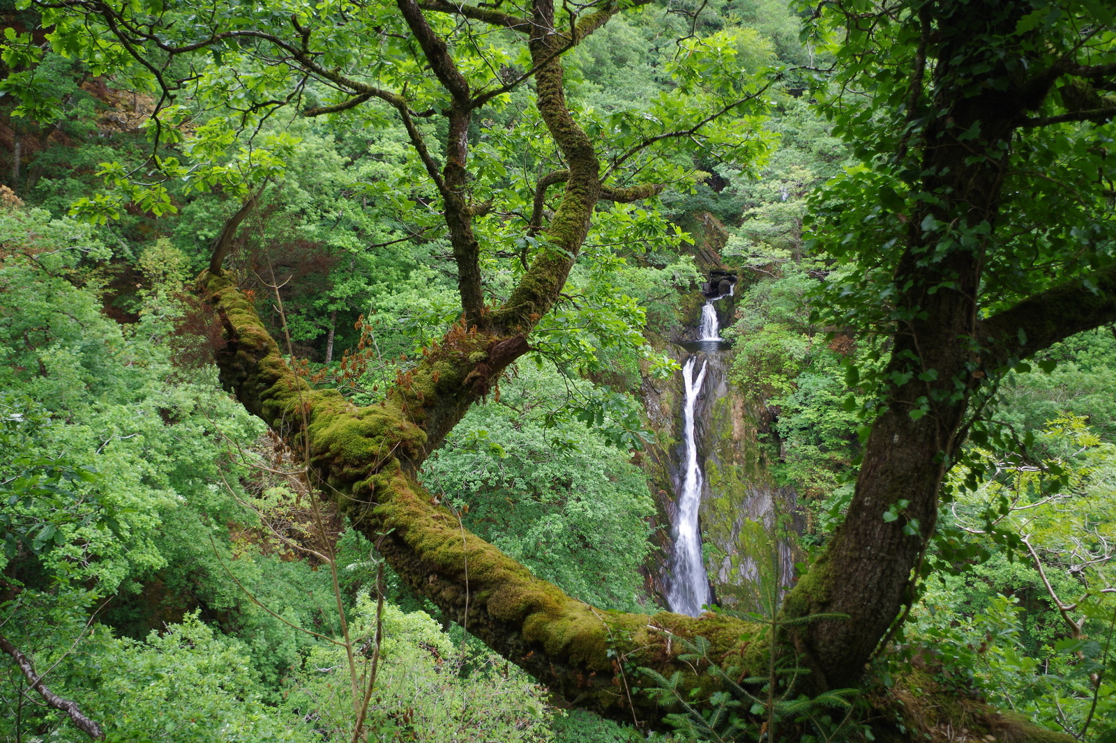 Travel to Wales. - My, Travels, England, Wales, The photo, The mountains, Longpost