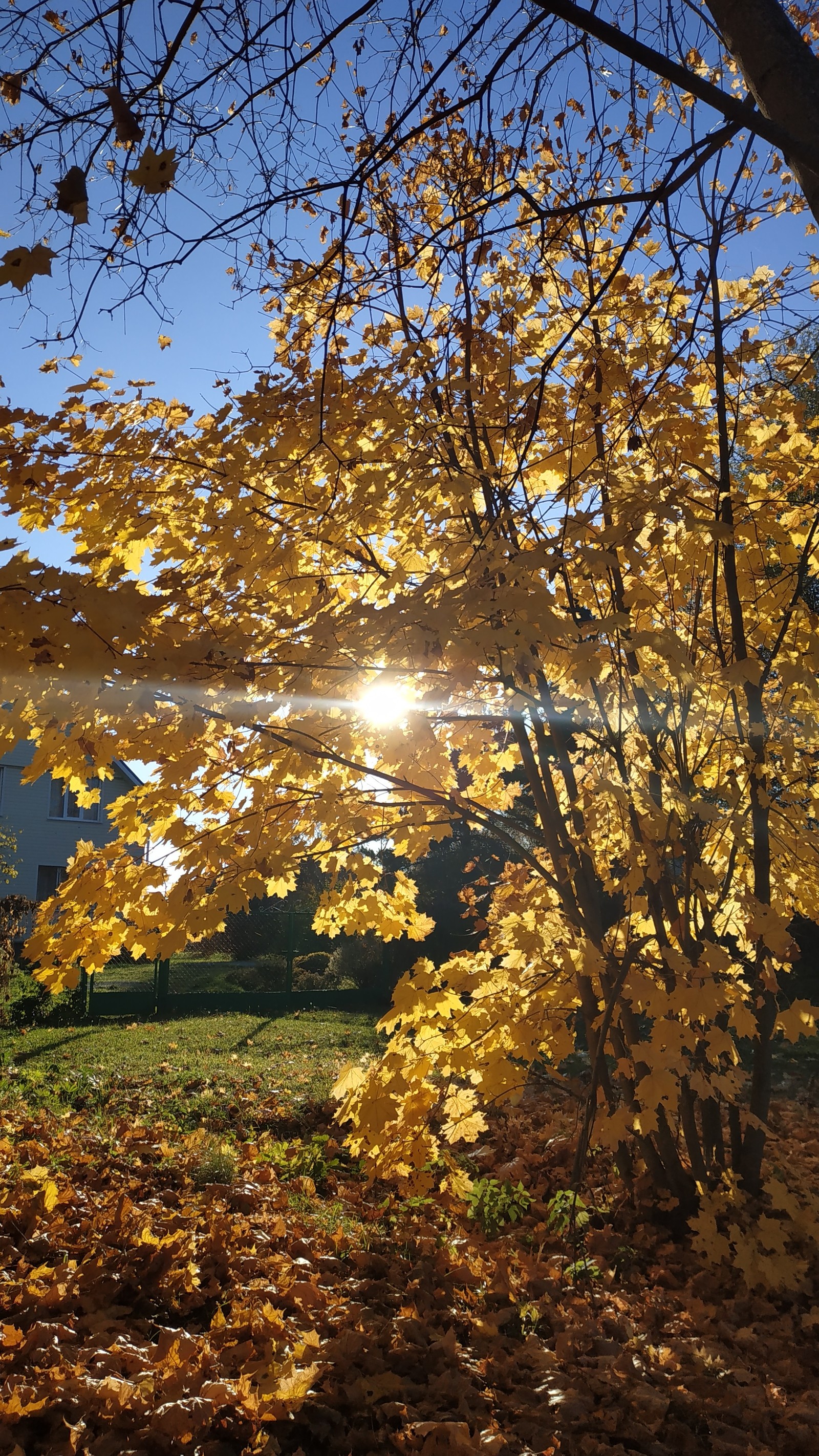 Autumn - Autumn, beauty, Nature, Longpost