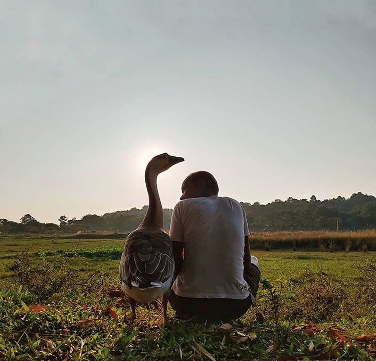 Friend.. - Friends, The photo, Milota, Birds