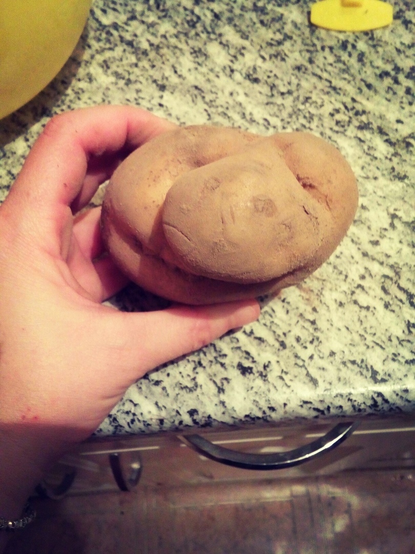 ... and it’s just a pity that the potato has become so)). - My, Potato, Dude