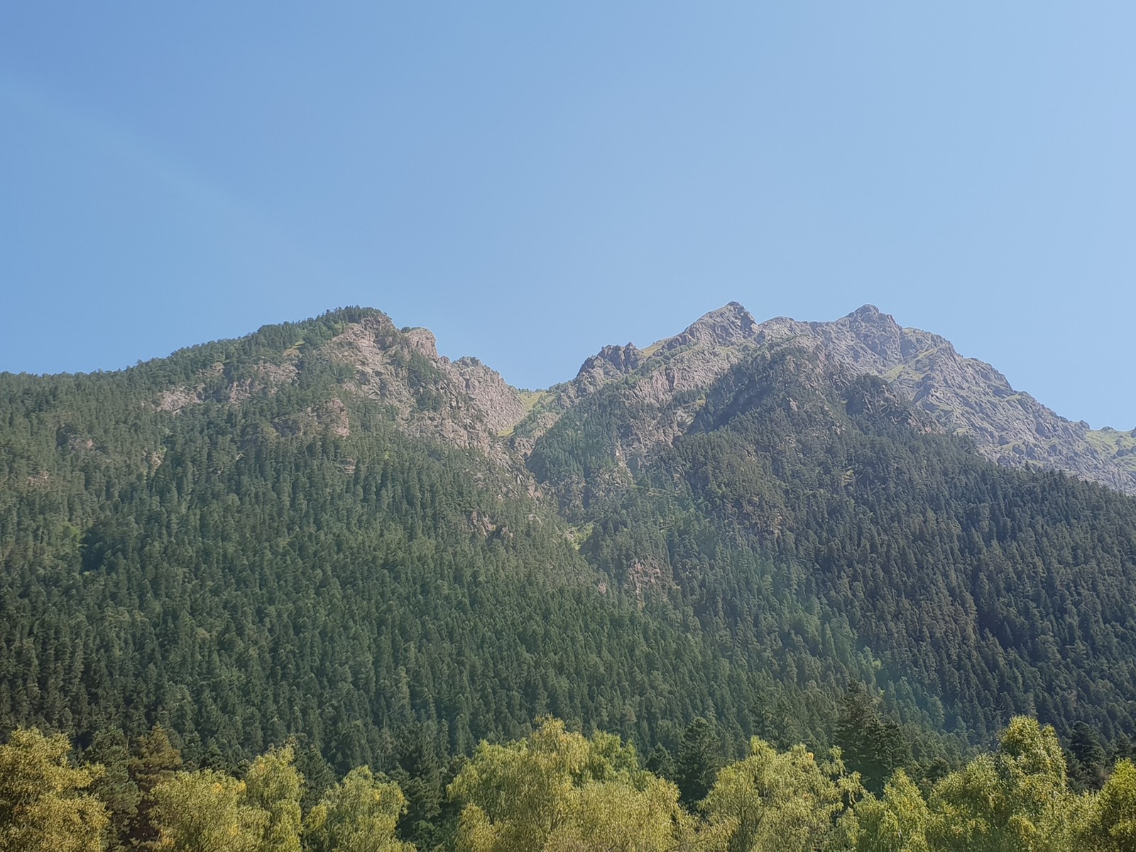 Arkhyz, Karachay-Cherkessia - My, The photo, Nature, Arkhyz, wildlife, Forest, Fog, Sky, Longpost