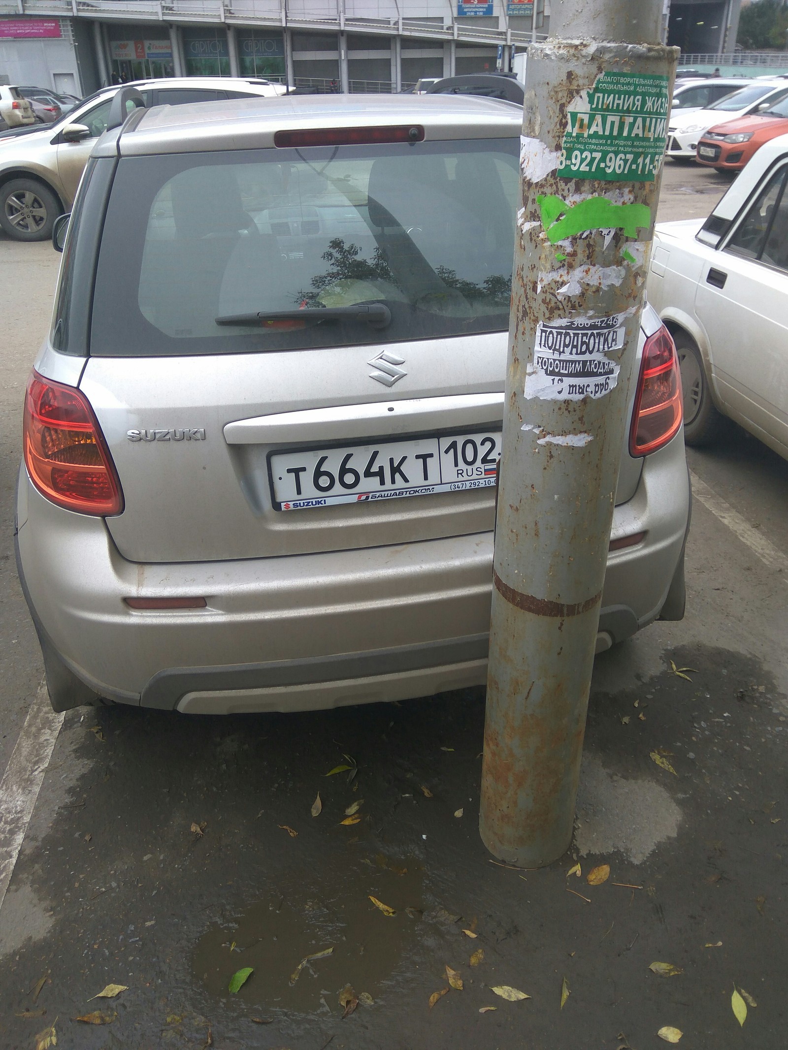 Мастер парковки | Пикабу