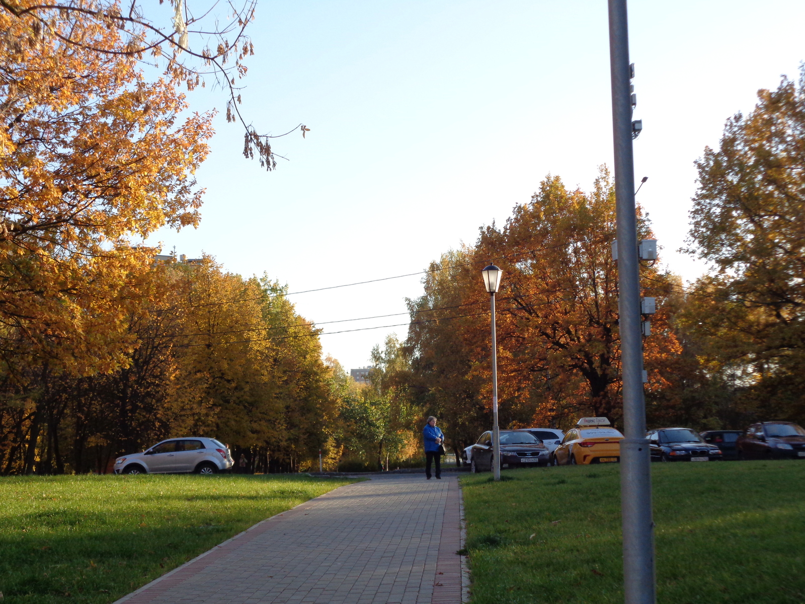autumn kuntsevo - My, Autumn, , Kuntsevo, West, Mozhayka, beauty
