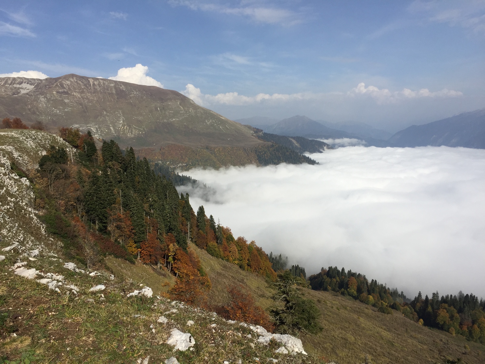 Autumn on Mount Bombayashka - - My, Autumn, Abkhazia, The mountains