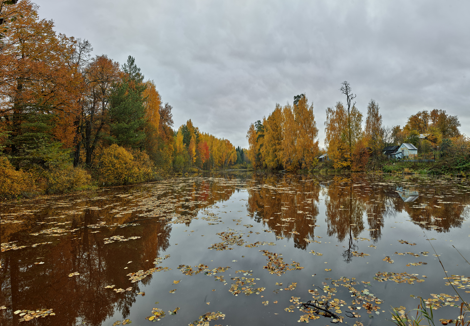 Just autumn - 2 - My, Autumn, Leaf fall, Pond, Reflection, Autumn leaves, Forest, Clouds, The photo