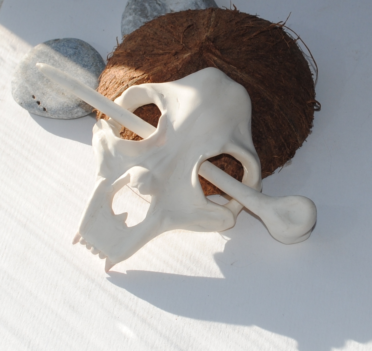 Skull and bone ... Everything is very simple, at first glance - My, Scull, Barrette, Polymer clay, Longpost