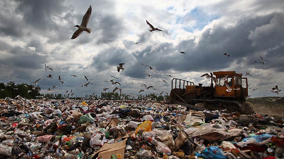 Moscow garbage will be taken to Arkhangelsk! - My, Garbage, Dump