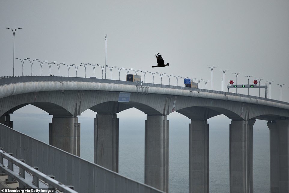 China is preparing to open the longest bridge with a length of 55 km - Bridge, China, Progress, Transport, Longpost, beauty, The photo