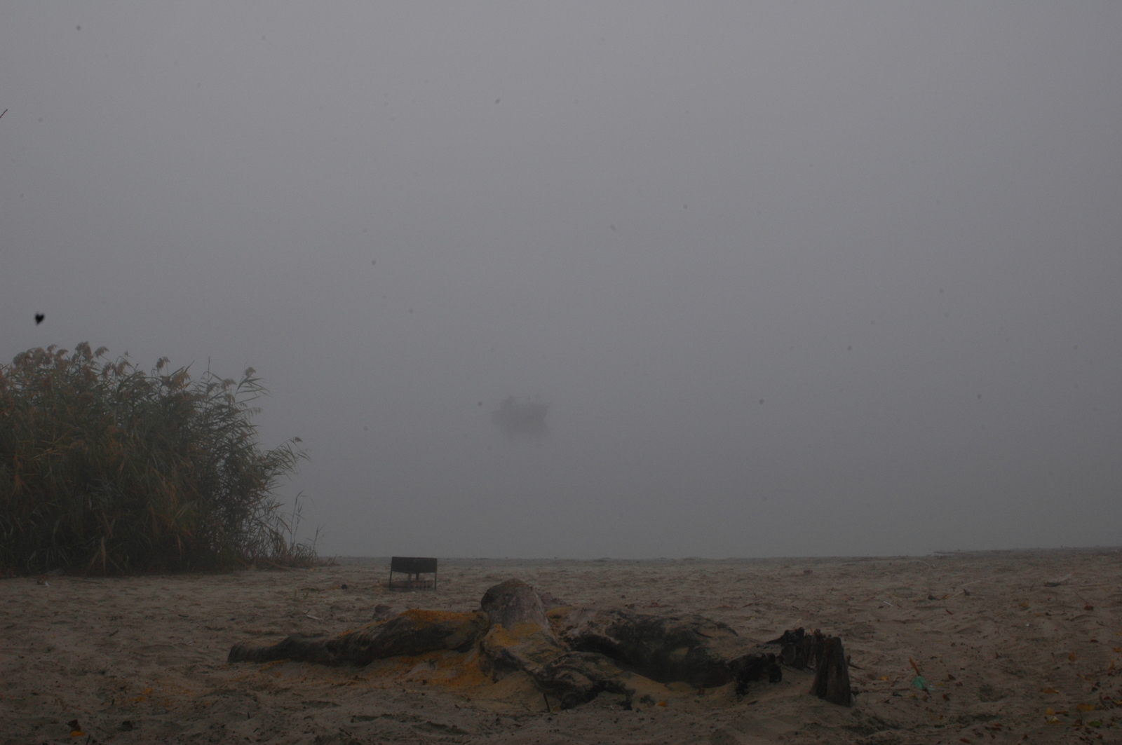 Fog - My, I want criticism, Fog, Beginning photographer, Longpost