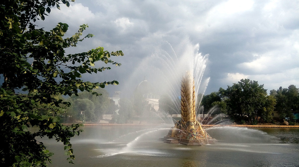 Fountain Golden Ear at VDNKh - My, The photo, Fountain, VDNKh, , Spikelet