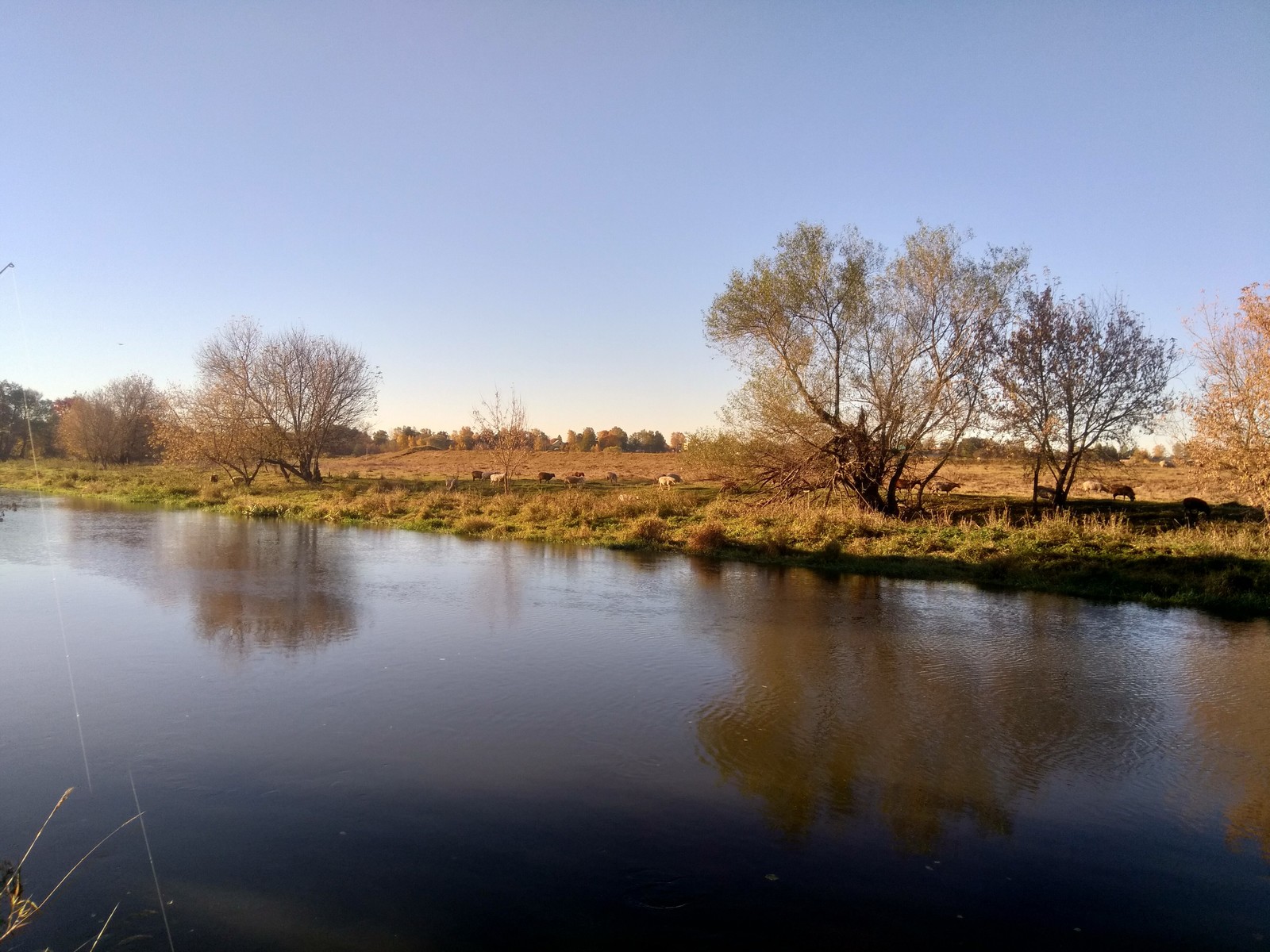 A little more autumn - My, Autumn, The photo, River, Klyazma, beauty of nature, Longpost