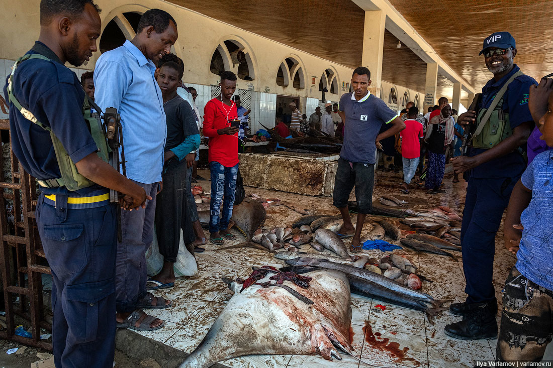 Fish market in Mogadishu - Somalia, Africa, Ilya Varlamov, Travels, Copy-paste, Longpost