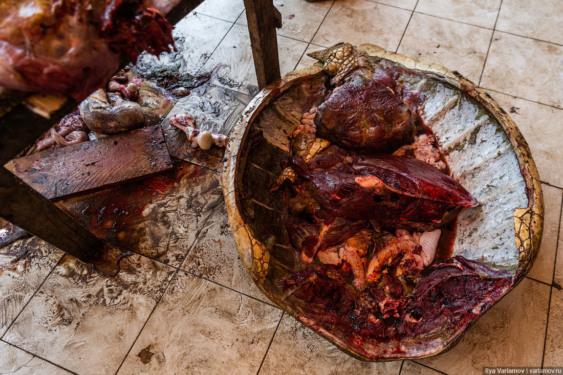 Fish market in Mogadishu - Somalia, Africa, Ilya Varlamov, Travels, Copy-paste, Longpost