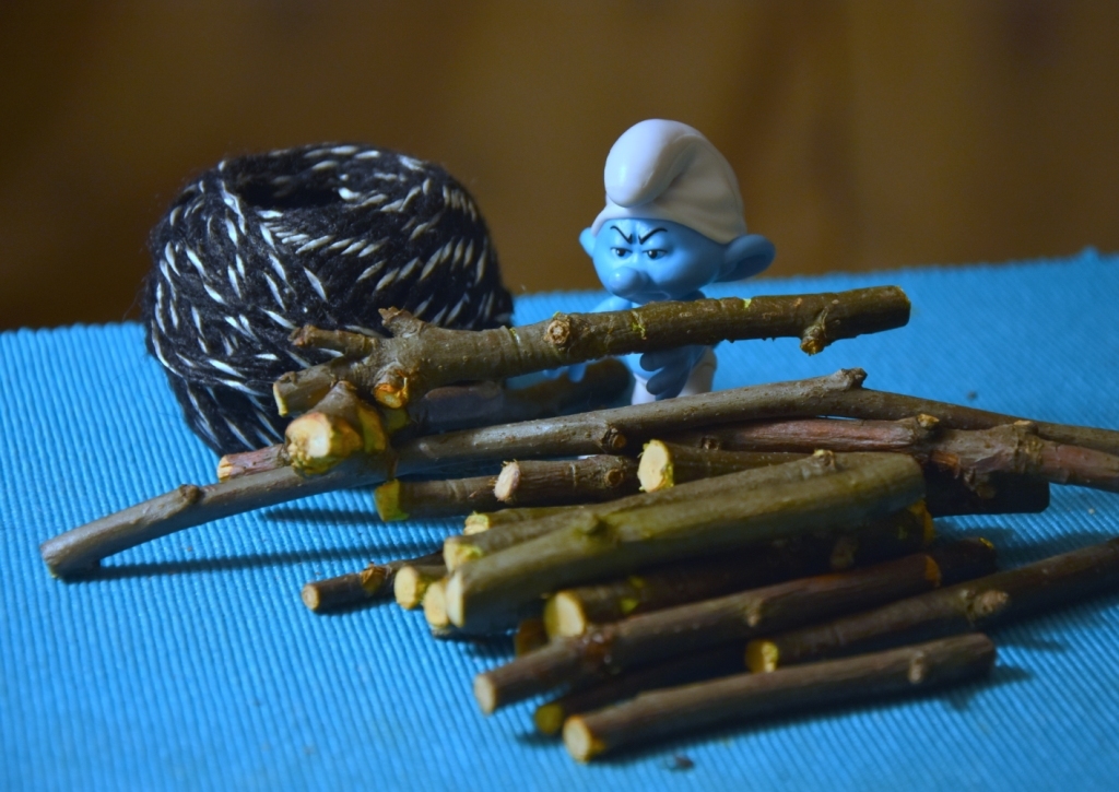 Smurf and MOST. - My, Bridge, The smurfs, Macro photography, Photographer, Longpost, Houseplants, With your own hands