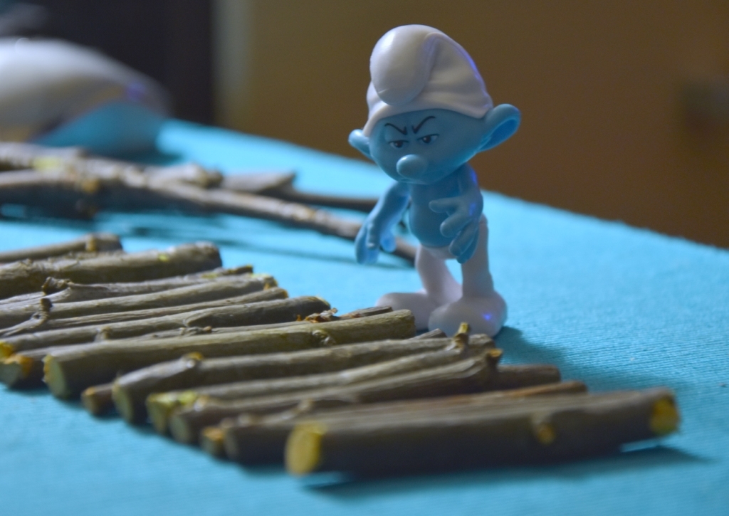 Smurf and MOST. - My, Bridge, The smurfs, Macro photography, Photographer, Longpost, Houseplants, With your own hands