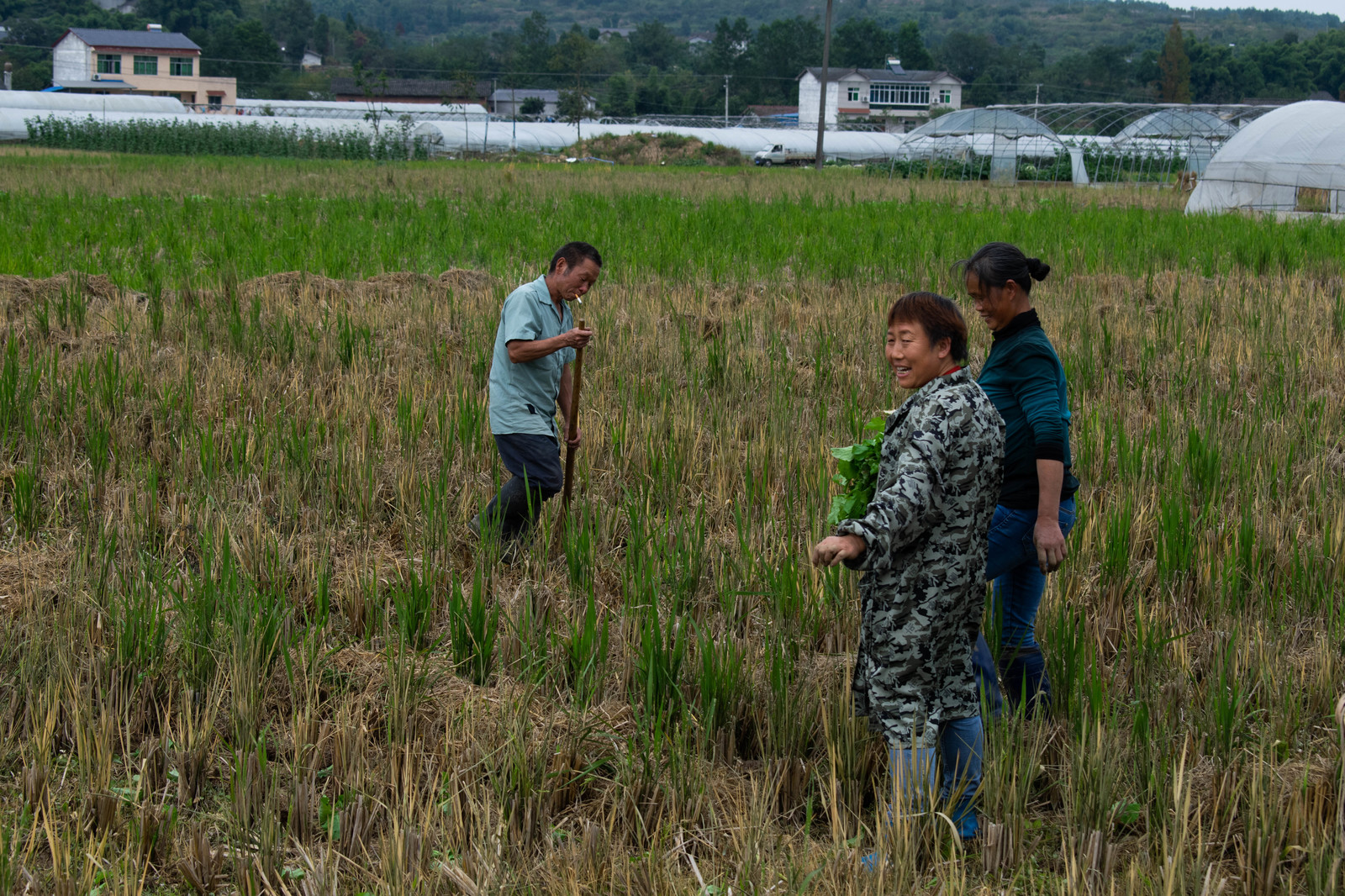 Praise to the hands that smell of rice: how the Chinese are building socialism in the village - My, Asia, The culture, China, Pension, Life stories, Travels, Travel, People, Longpost