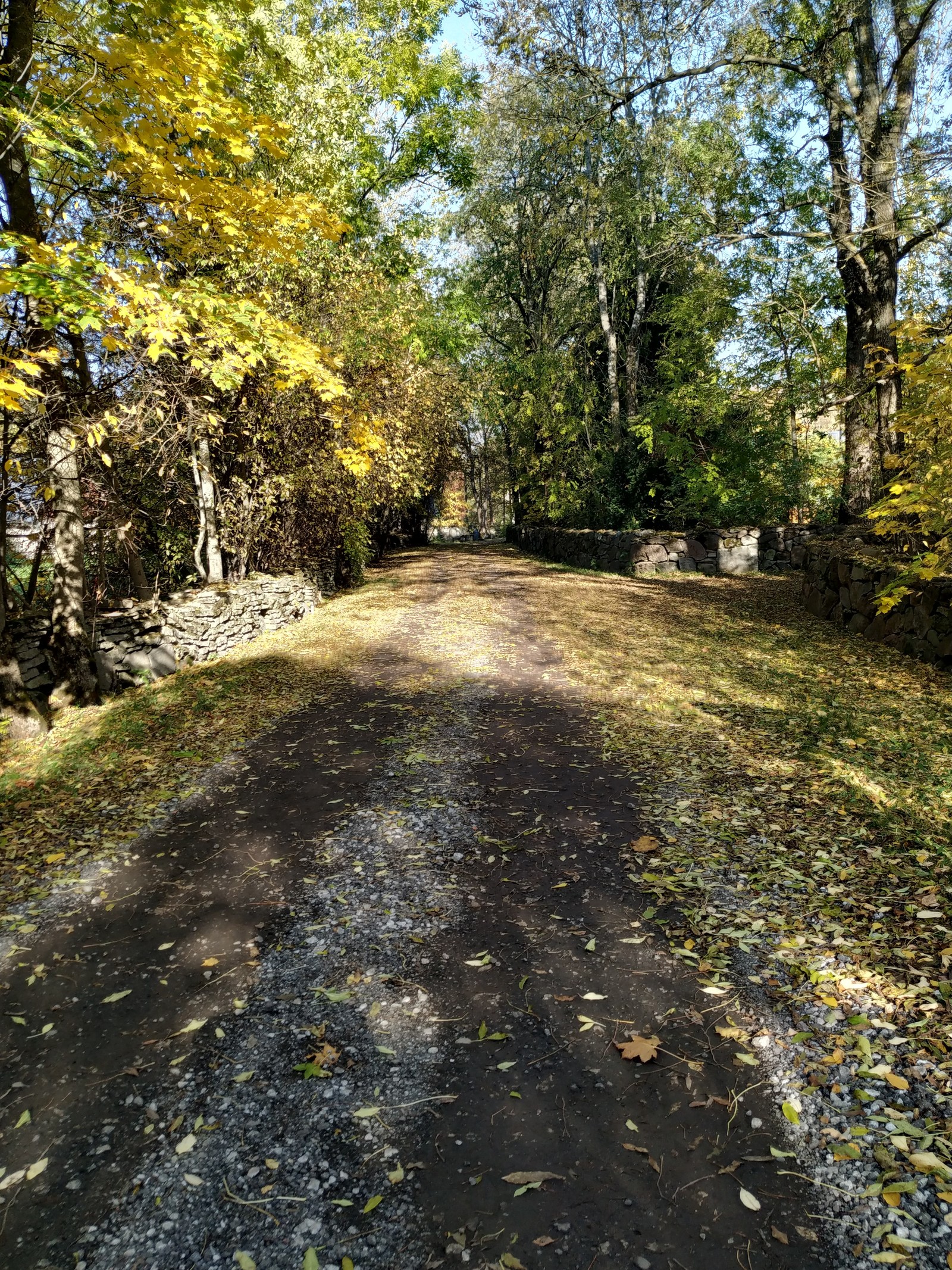 Autumn on the farm - My, Autumn, Farm, The photo