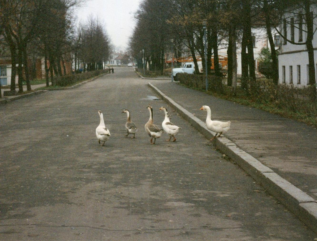 Private photos. - Russia, Interesting, The photo, 1994, Saint Petersburg, Retro, camera roll, Longpost