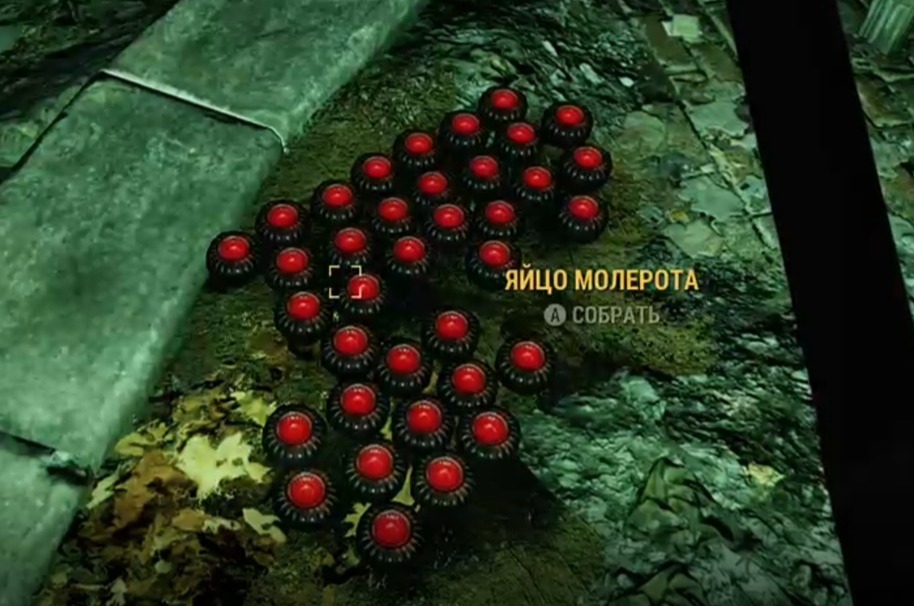 MOLEROT EGG!!! in Fallout 76 - Fallout 76, Fallout, Games, Computer games, Overbrain, Translation, Mothman