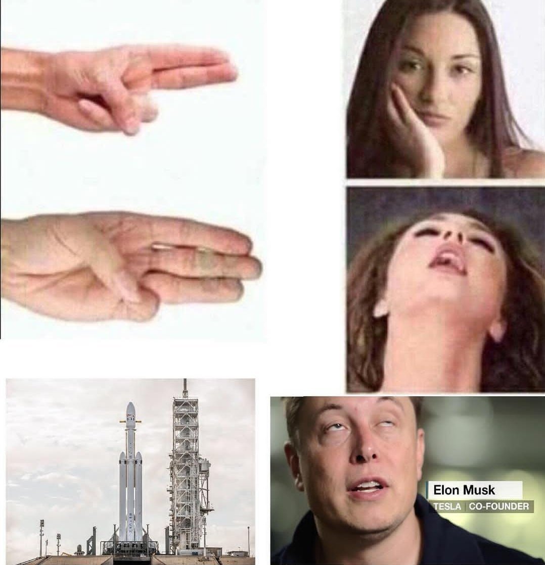 Elon Musk asked me to send him memes on Twitter - Elon Musk, Memes, Longpost