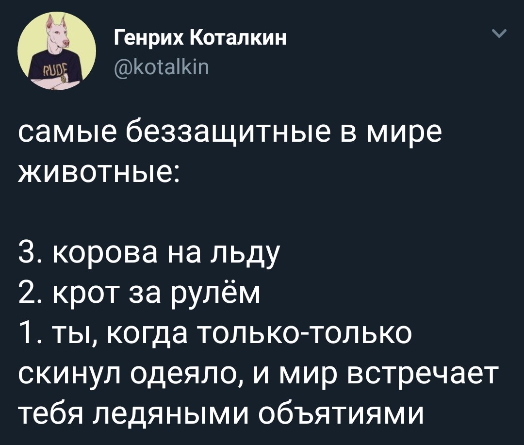 Самые беззащитные в мире животные - Скриншот, Twitter, Юмор