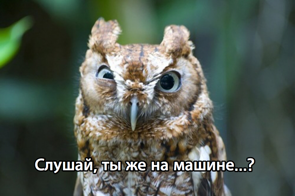 My face when someone comes up to me saying: - Owl, Picture with text, Request