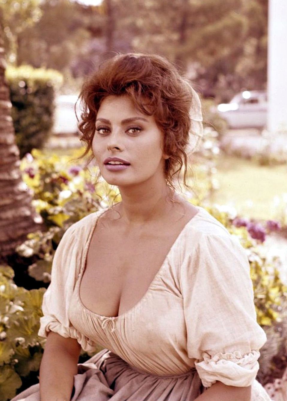 Sophia Loren 1961 - Sophia Loren, The photo