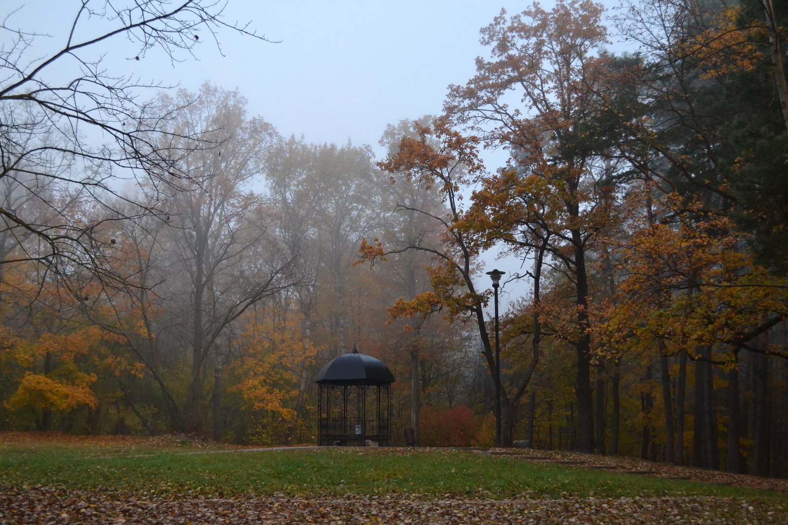 Minsk. Drozdy Park - My, The photo, Minsk, Autumn, Nikon, Longpost