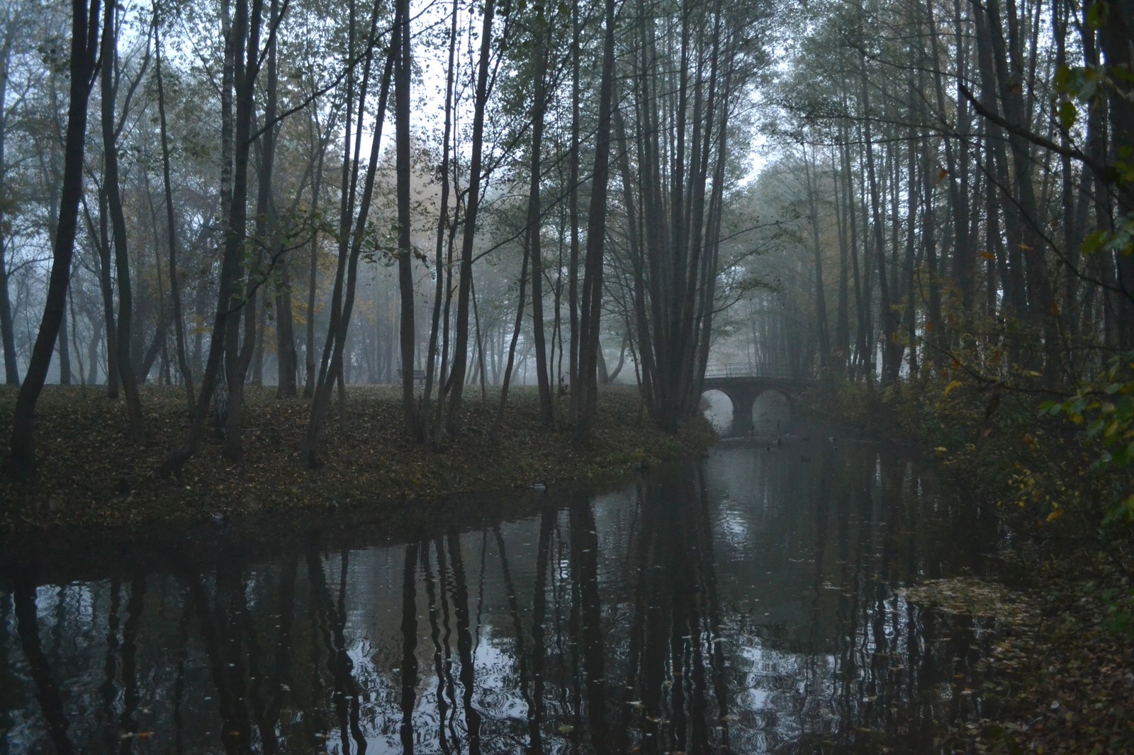 Minsk. Drozdy Park - My, The photo, Minsk, Autumn, Nikon, Longpost