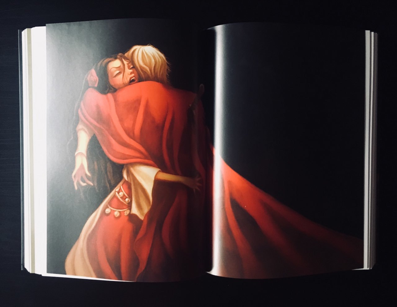 The book Notre Dame Cathedral by V. Hugo with illustrations by Benjamin Lacombe - My, Books, Illustrations, Notre dame cathedral, Victor Hugo, , , Longpost, Excerpt from a book