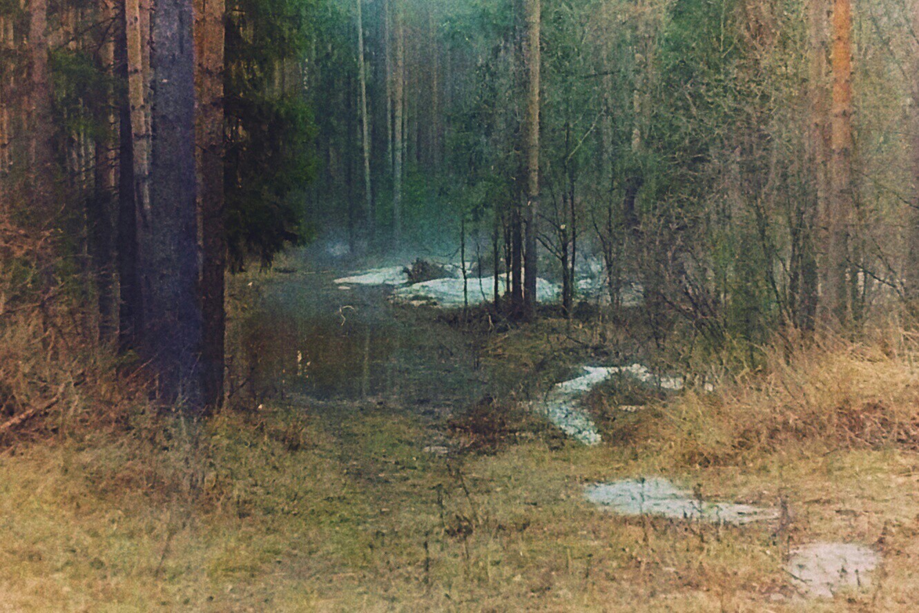 Кировская область, 1998 г. - Моё, Фотография, Природа, Пейзаж, Пленка, Киров, Вятка, Зенит