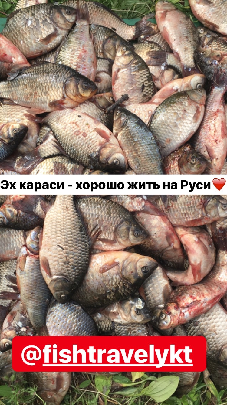 1000 KARASE - or fishing in Yakutia - My, Fishing, beauty, Nature, Yakutia, Video, Longpost