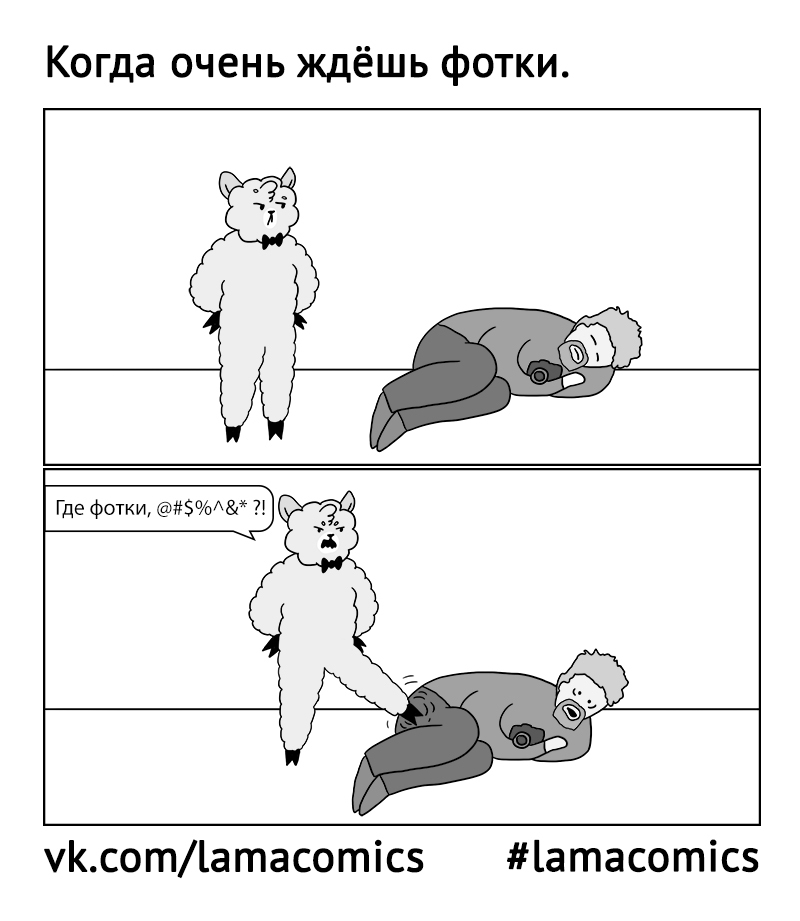 Wait it is - My, Lamacomics, Jam, Comics, Web comic, Humor, Misterlamasuperstar