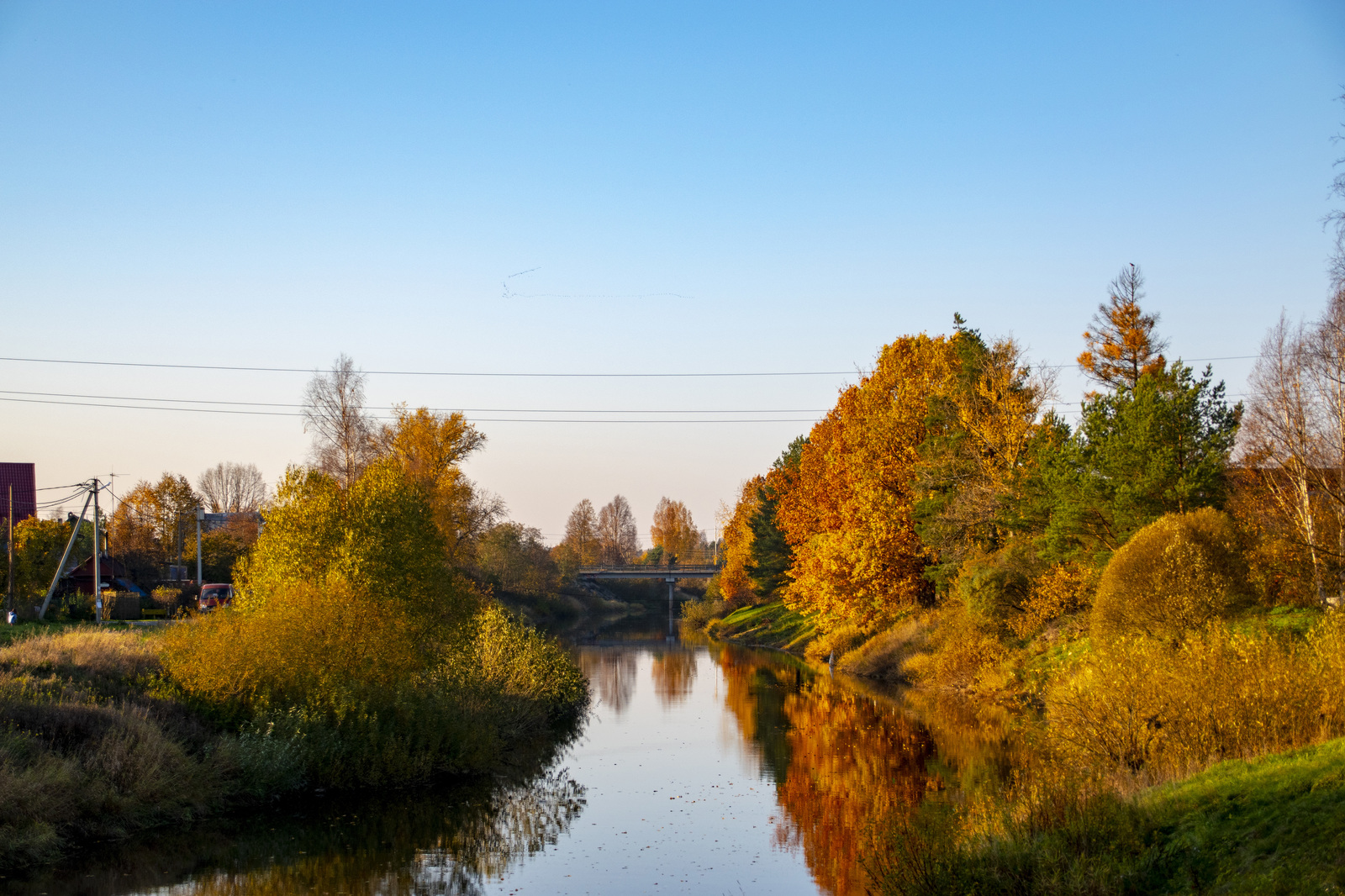 Autumn in Tosno - My, The photo, Autumn, Tosno, October, Nature, Longpost