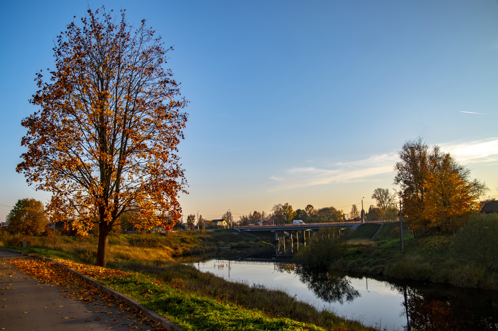 Autumn in Tosno - My, The photo, Autumn, Tosno, October, Nature, Longpost