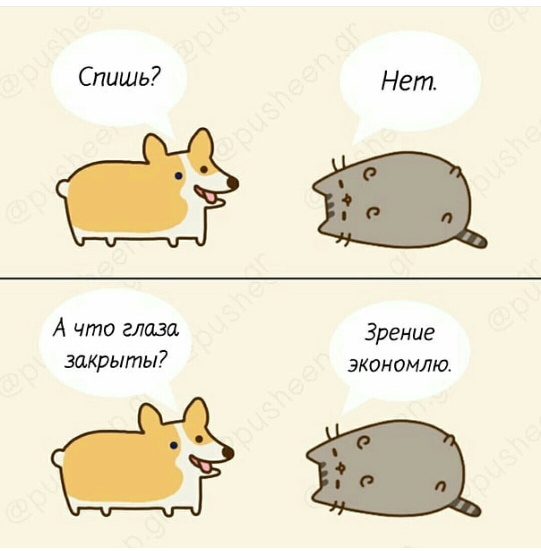 Экономия зрения - Кот Пушин, Собака, Экономия, Зрение, Сон, Pusheen