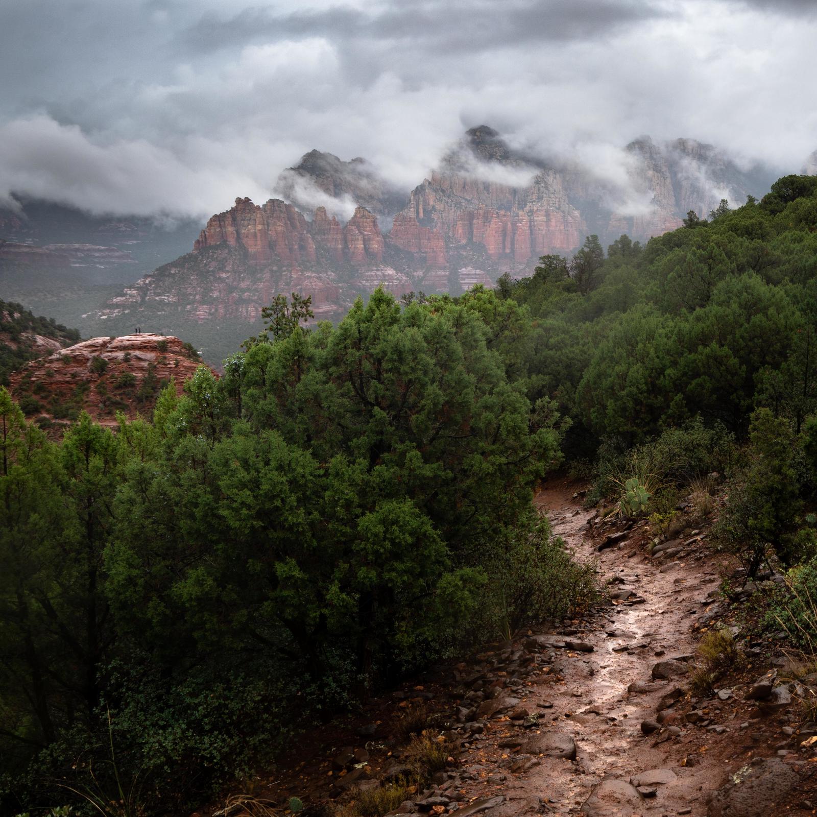 Arizona, USA - Nature, beauty of nature, The photo, USA