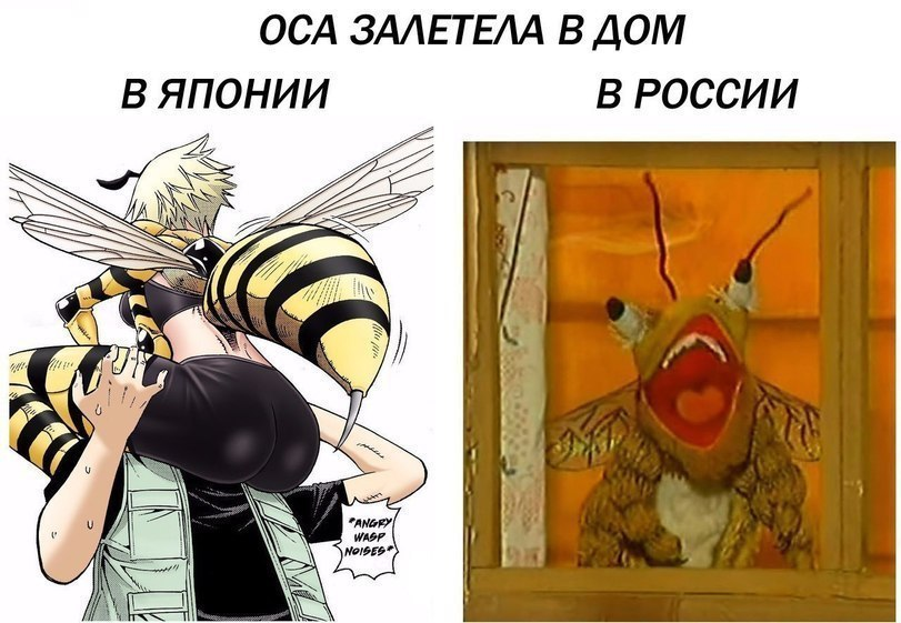 Such different wasps - Memes, Wasp, Fools village