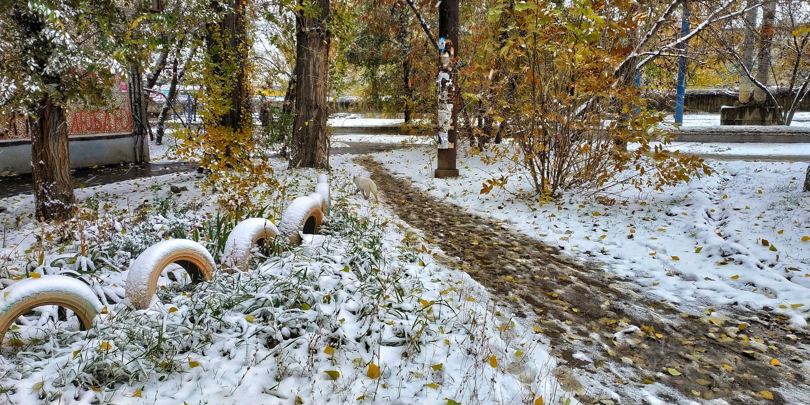 Саратов первый снег