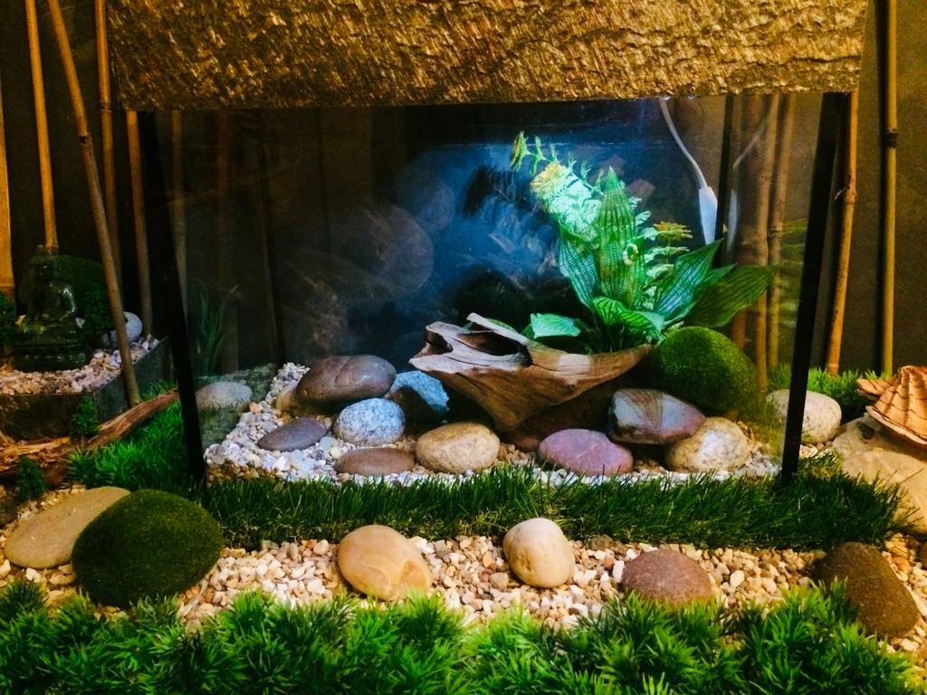 That's better? - My, Aquarium, With your own hands, Design, Longpost