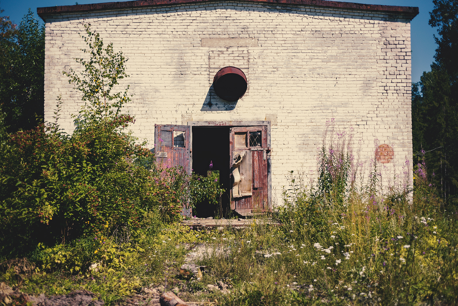 Abandoned places of the Leningrad region. - My, Abandoned, Longpost, Leningrad region, Video