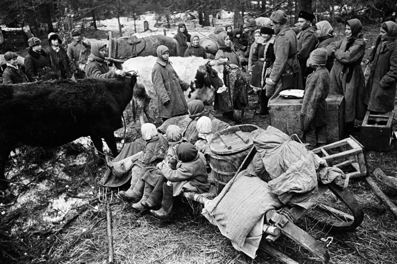 Great Patriotic War 1941-1945. - The Great Patriotic War, To be remembered, War correspondent, Shaikhet Arkadiy Samoylovich, Longpost