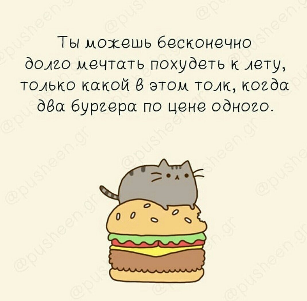 Diet for summer - Diet, Pusheen, Summer, Burger