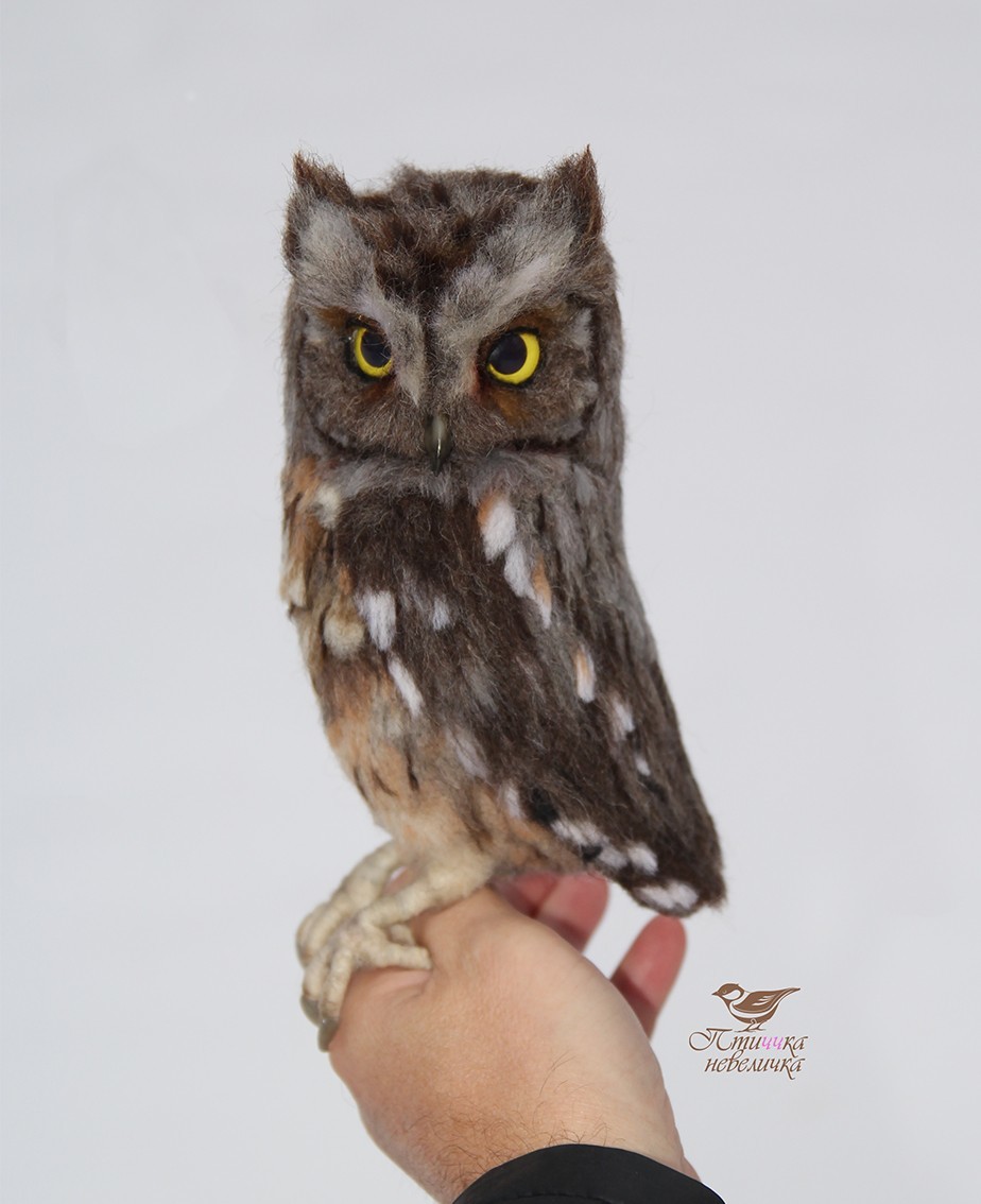 Sleepy owl. Dry felting. - My, Needlework without process, Dry felting, Birds, Needlework, Handmade, Creation, Longpost