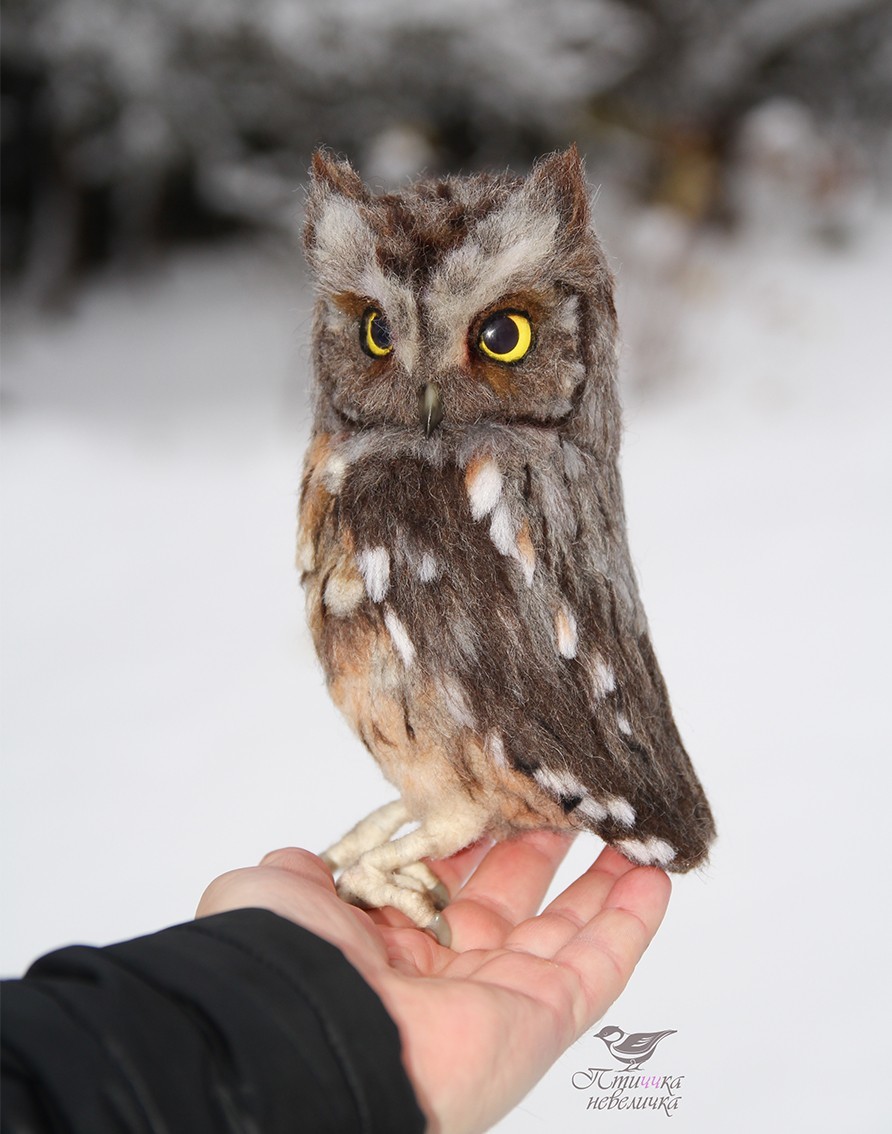 Sleepy owl. Dry felting. - My, Needlework without process, Dry felting, Birds, Needlework, Handmade, Creation, Longpost